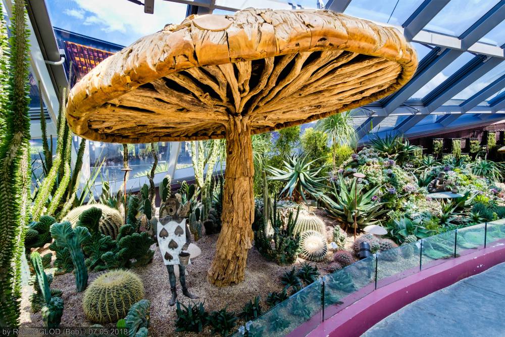 Flower Dome Singapore in Gardens by the Bay